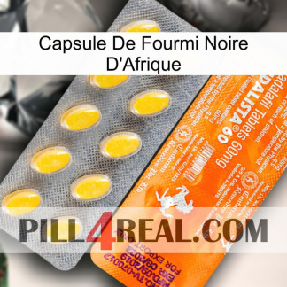 Africa Black Ant Capsule new05